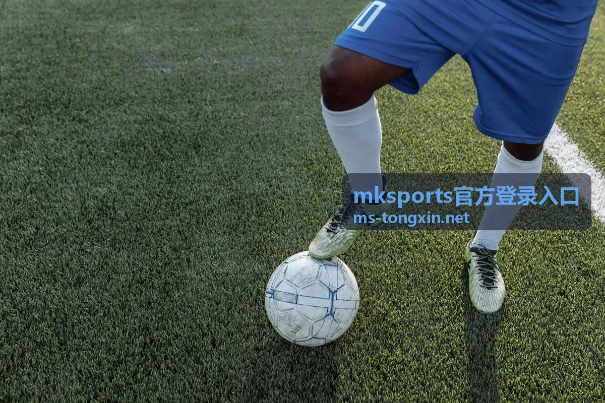 mksports官方登录入口会员服务等级权益说明