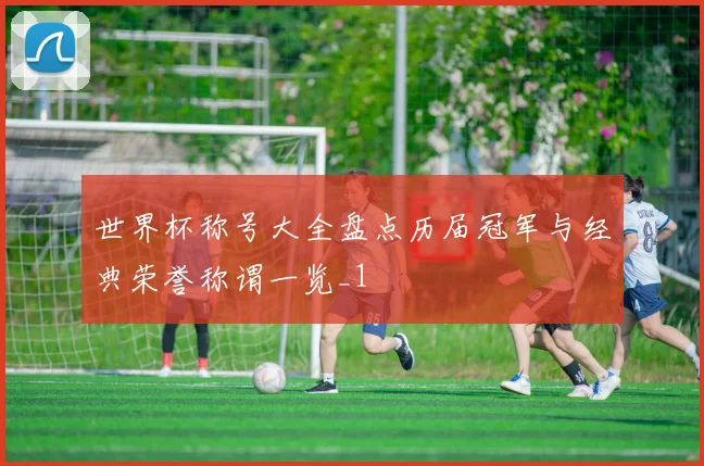 世界杯称号大全盘点历届冠军与经典荣誉称谓一览_1