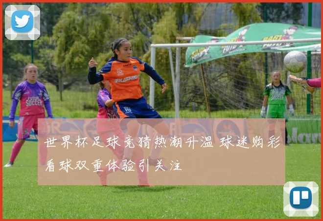 世界杯足球竞猜热潮升温 球迷购彩看球双重体验引关注