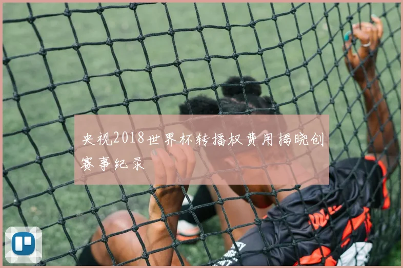 央视2018世界杯转播权费用揭晓创赛事纪录