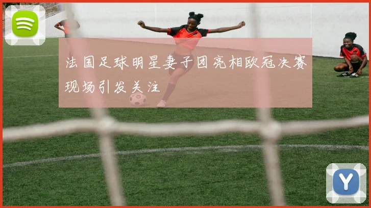 法国足球明星妻子团亮相欧冠决赛现场引发关注