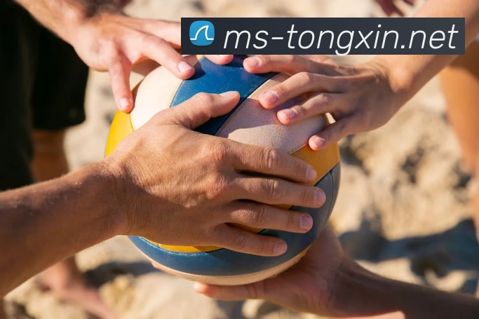 开云手机在线官网登录品牌故事