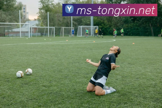 开云手机在线官网登录服务体系